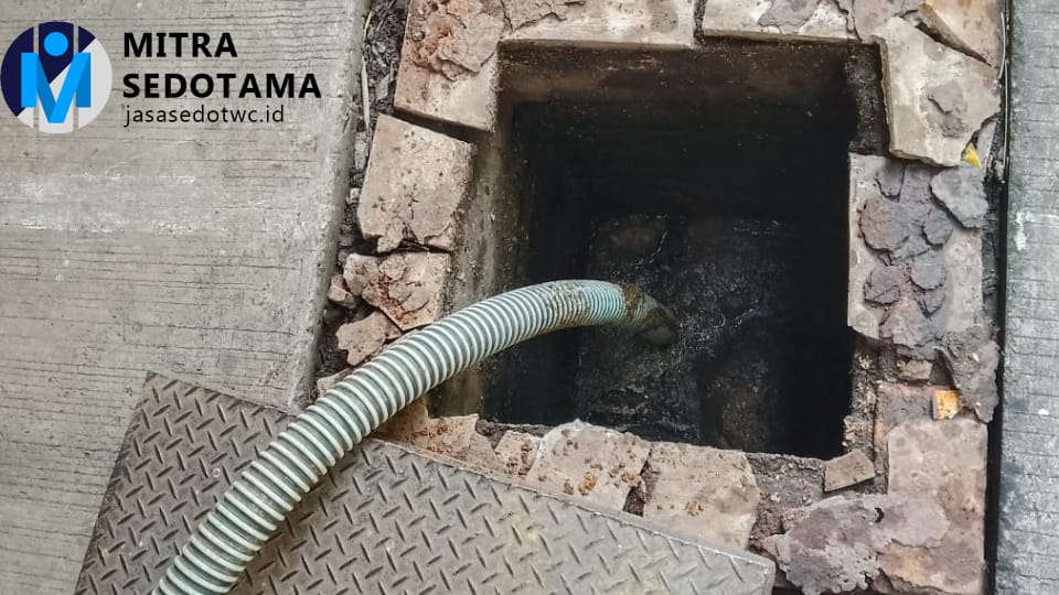 WhatsApp Image 2025-09-23 at 22.35.36 (2)