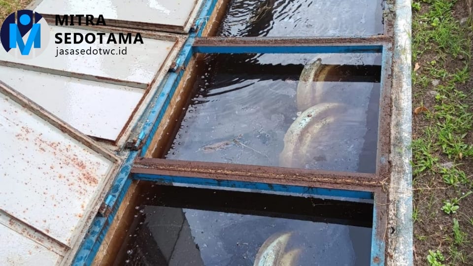 WhatsApp Image 2025-09-24 at 11.36.41 (1)