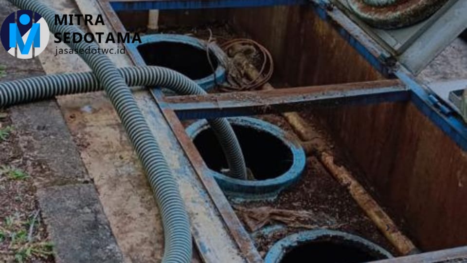 WhatsApp Image 2025-09-24 at 11.36.41 (2)