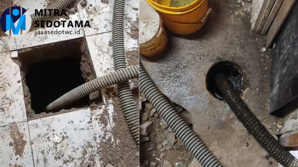 WhatsApp Image 2025-09-24 at 11.36.41