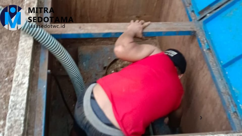 WhatsApp Image 2025-09-24 at 11.36.42